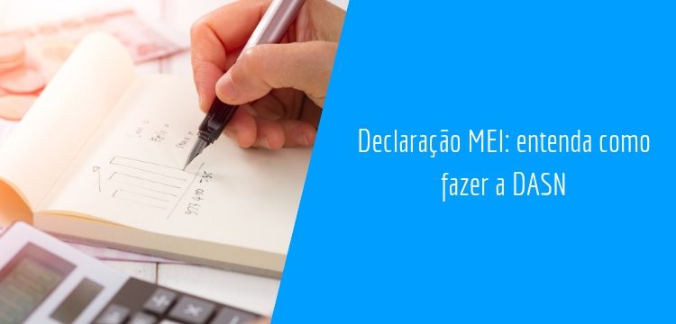 declaraçao MEI e DASN